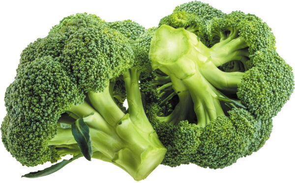Brocoli 1 Pc