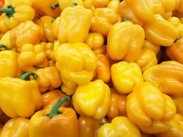 Bell Pepper (yellow) 1 pc (Copy) - Image 4