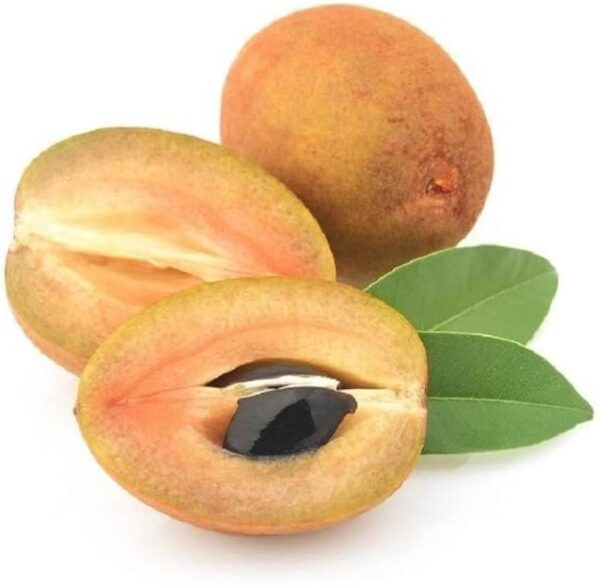 Chikoo (Sapota) 500 gm