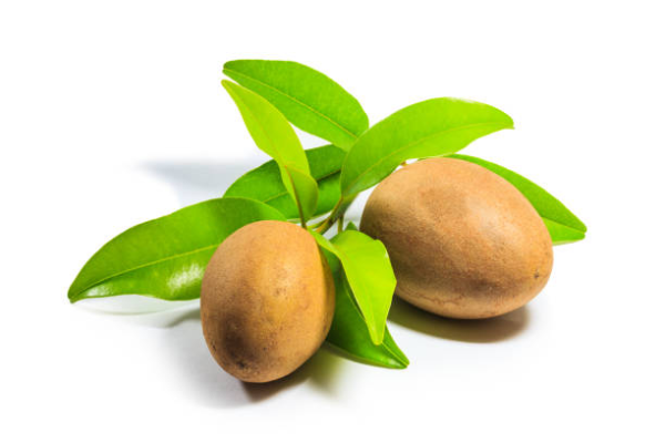 Chikoo (Sapota) 500 gm - Image 3