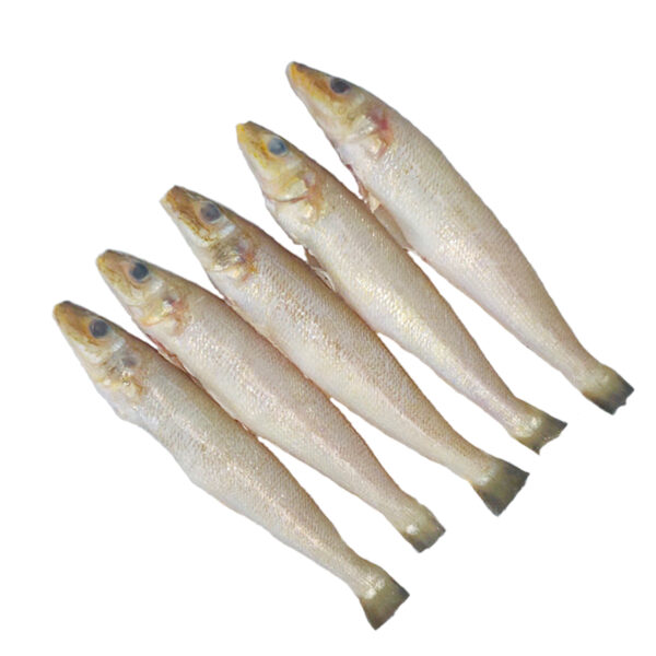 Leady Fish 500gm (Whole) - Image 2