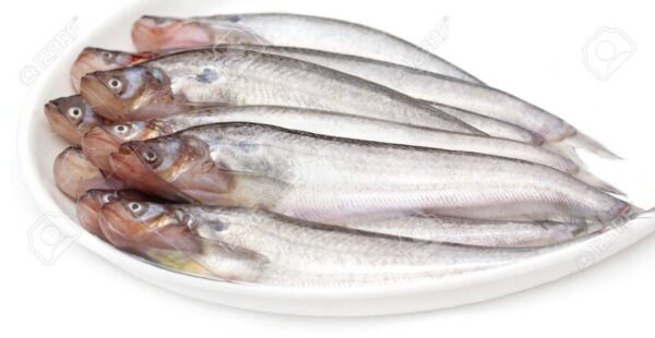 Pabda Fish (Whole) 500 gm - Image 3