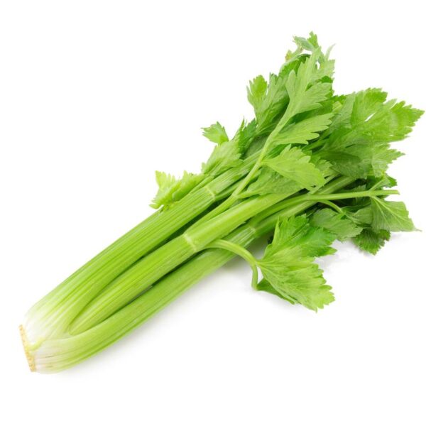 Hydroponic Celery (100gm)