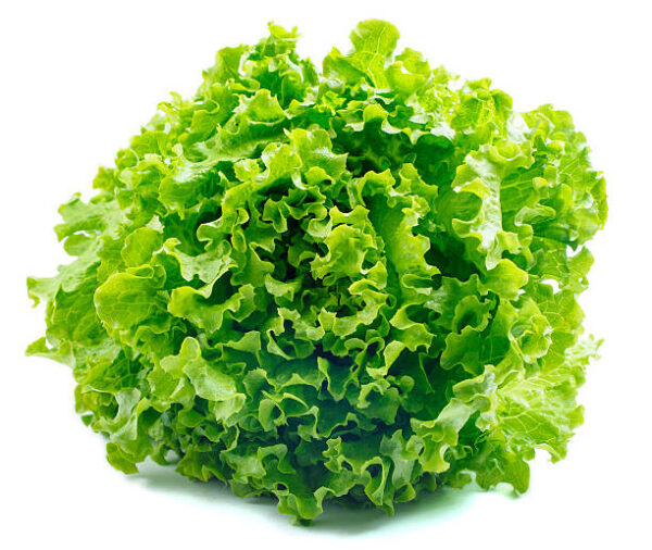 Hydroponic Green Lettuce (100gm) - Image 4