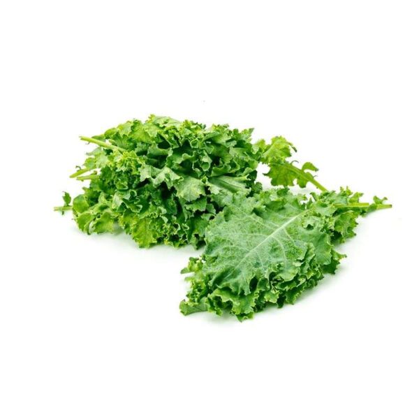 Hydroponic Kale Curled (100gm)
