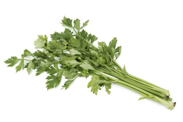 Hydroponic Celery (100gm) - Image 2