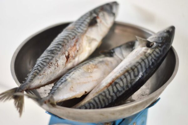 Mackerel/ Ayala /Bangda (whole) 500 gm - Image 3