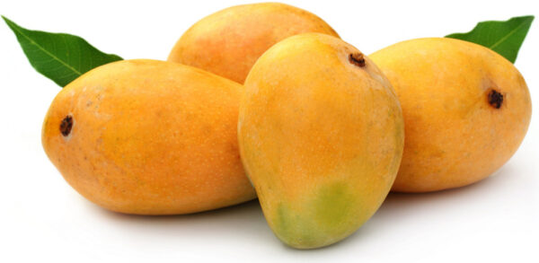 Alphonso Mango 500 gm