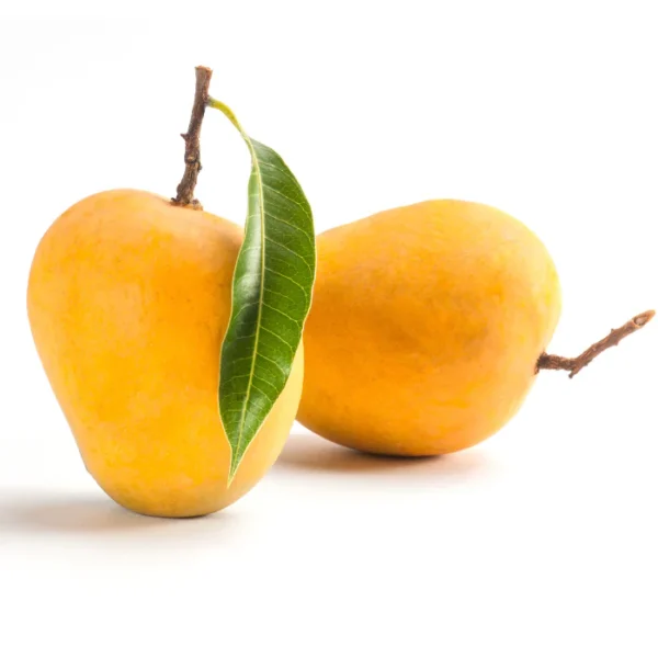 Alphonso Mango 500 gm - Image 3