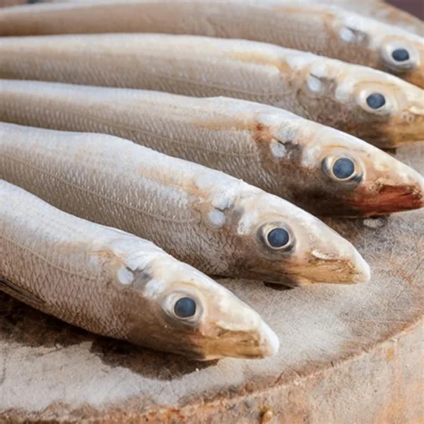 Leady Fish 500gm (Whole) - Image 3