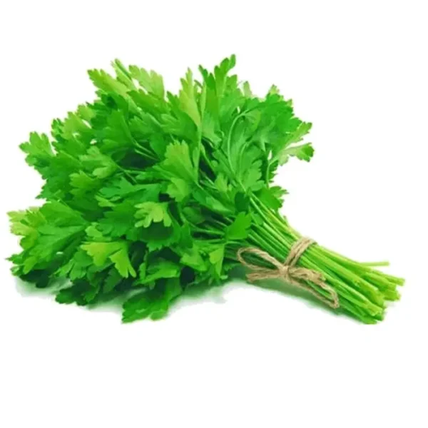 Hydroponic Flat Parcely (100gm)