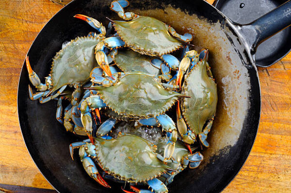 Blue Crab (Whole) 500 gm