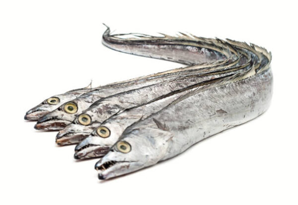 Ribbon Fish (  Whole  ) 500 gm - Image 3